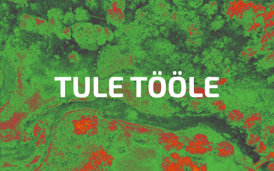 Ida-Virumaa ootab tööle uusi haridustöötajaid