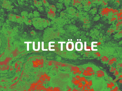 Ida-Virumaa ootab tööle uusi haridustöötajaid